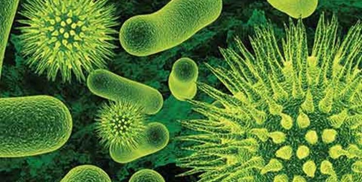 نابودی باکتری های مضر با سلاح باکتریایی