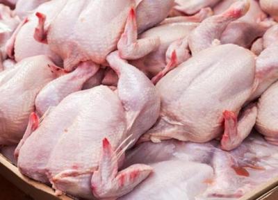 کمبود گوشت مرغ در خراسان جنوبی وجود ندارد