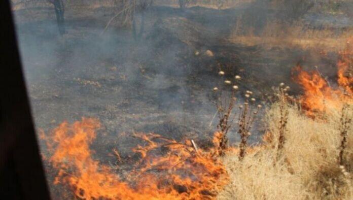2 هزار متر از عرصه های جنگلی چیتگر تهران در آتش سوخت 2 هزار متر از عرصه های جنگلی چیتگر تهران در آتش سوخت