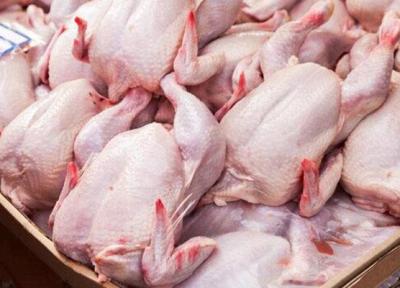 جدیدترین قیمت مرغ در بازار ، مرغ تازه کیلویی چند؟