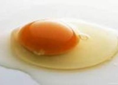 آیا خوردن تخم مرغ خام کار درستی است یا خیر؟