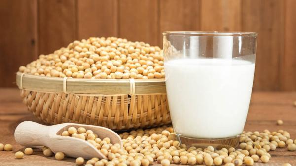 طرز تهیه شیر سویا با سویا خشک؛ مقوی و خوشمزه با همه ترفندها